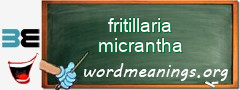 WordMeaning blackboard for fritillaria micrantha